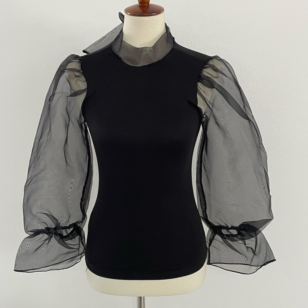tinywillow Black‎ Top with Sheer Sleeves XS